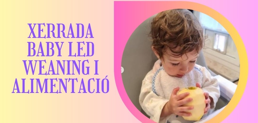 Imagen principal de Descobreix el Baby-Led Weaning: